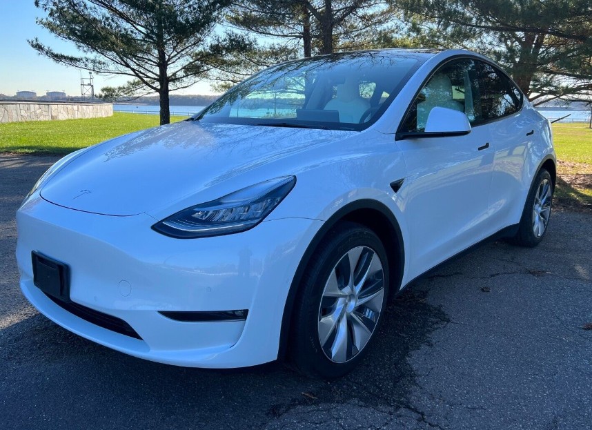 Tesla (22)